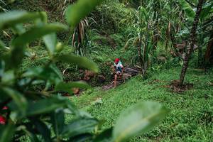 BIB: 
                            <button type="button" onclick="openModal(26200153)" class="btn btn-primary btn-sm float-right btn-popup" data-toggle="modal" data-target=".modal-high-quality">
                        <i class="fas fa-shopping-cart"></i> Add to Cart
                    </button>
                                            <button type="button" onclick="isThisMe(26200153, true)" class="btn btn-success btn-sm float-right btn-popup btn-isme hidden" data-toggle="tooltip" data-placement="bottom" title="นี่คือรูปของคุณใช่ไหม คลิกที่นี่เพื่อเอาเข้าอัลบั้ม">
                        <i class="fas fa-plus"></i> Add to album
                    </button>
                    <button type="button" onclick="isThisMe(26200153, false)" class="btn btn-warning btn-sm float-right btn-popup btn-isnotme hidden">
                        <i class="fas fa-ban"></i> Remove from album
                    </button>